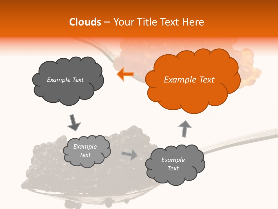 Macro White Black PowerPoint Template