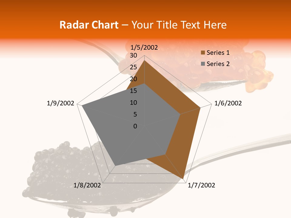 Macro White Black PowerPoint Template