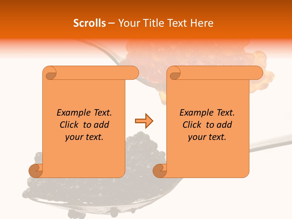 Macro White Black PowerPoint Template