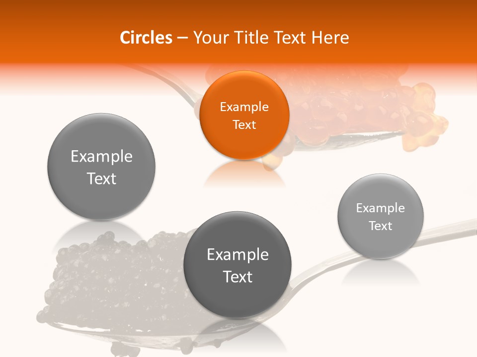 Macro White Black PowerPoint Template