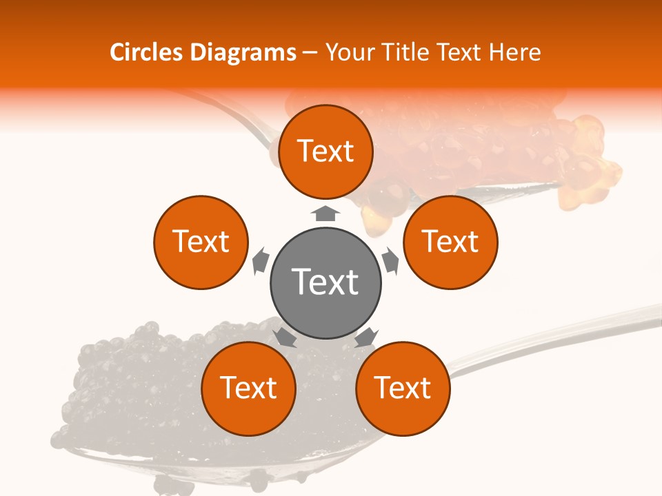 Macro White Black PowerPoint Template