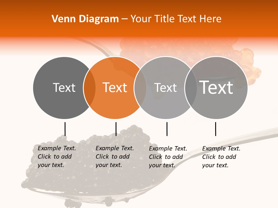 Macro White Black PowerPoint Template
