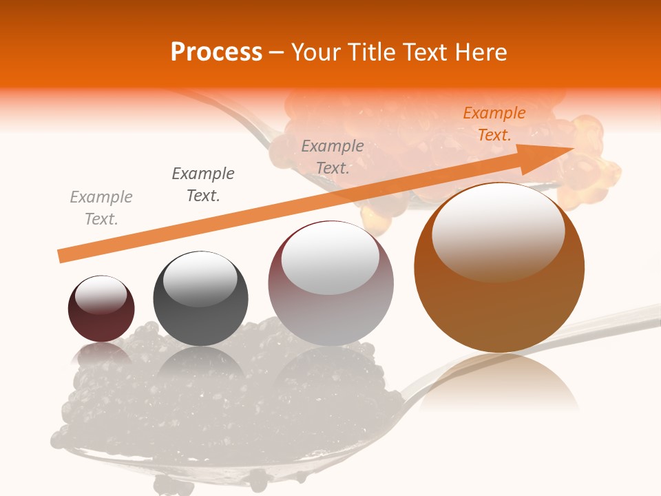 Macro White Black PowerPoint Template