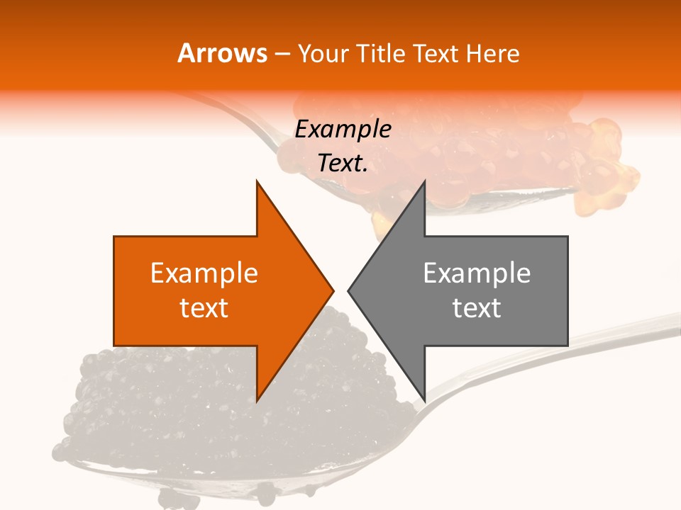 Macro White Black PowerPoint Template