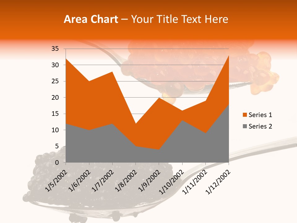 Macro White Black PowerPoint Template