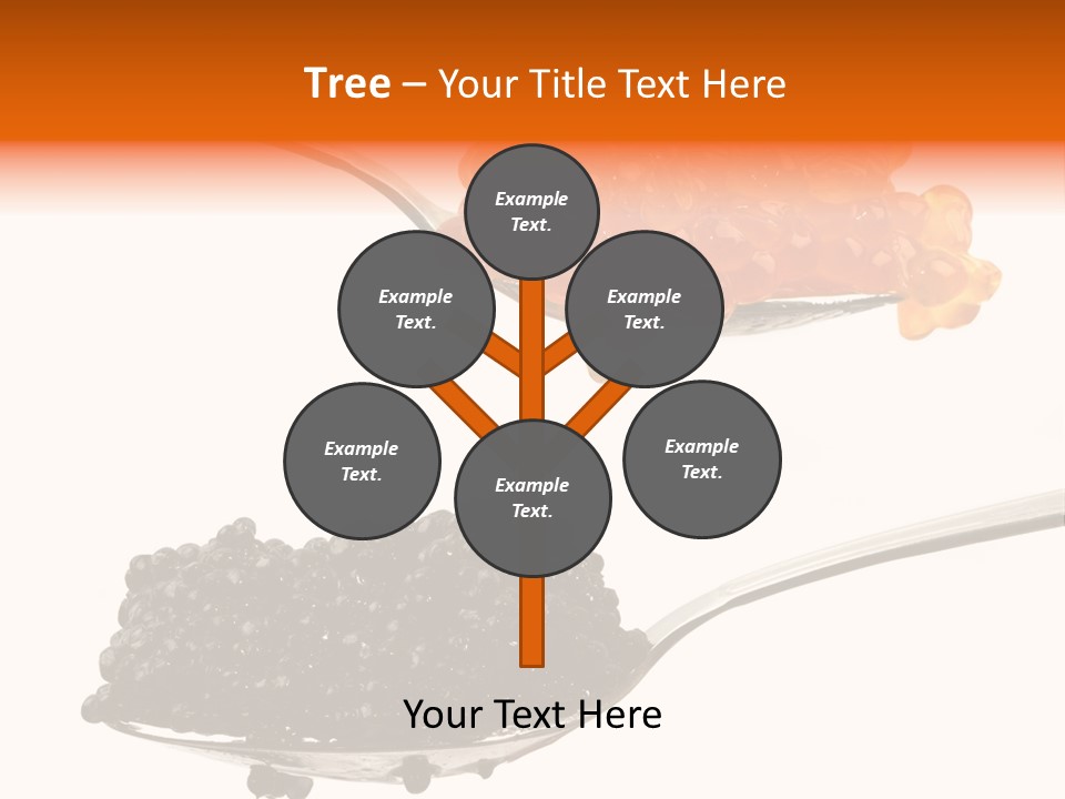 Macro White Black PowerPoint Template