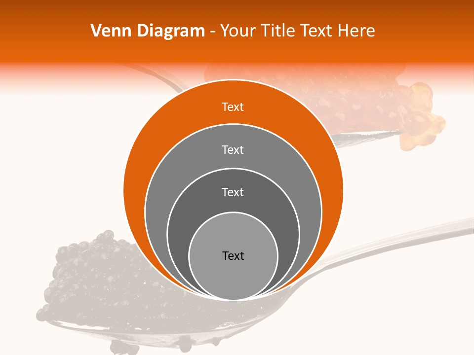 Macro White Black PowerPoint Template