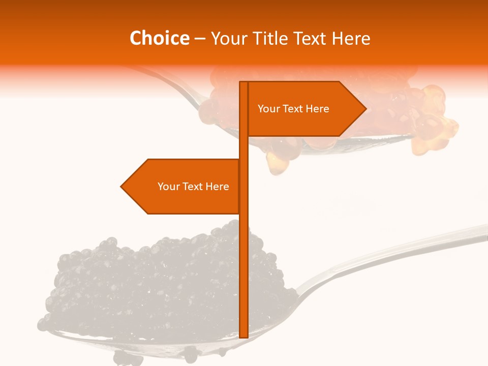 Macro White Black PowerPoint Template