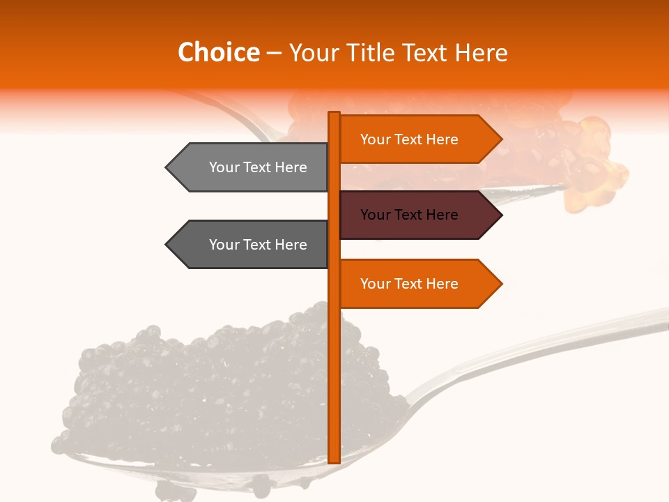 Macro White Black PowerPoint Template