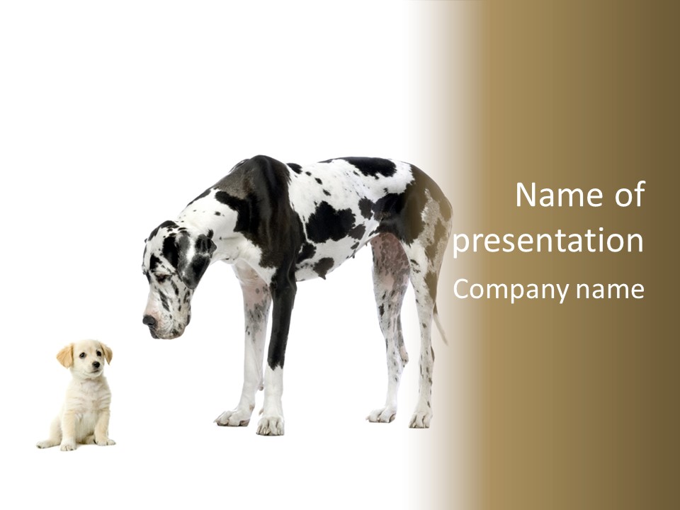 Large Domestic Mammal PowerPoint Template