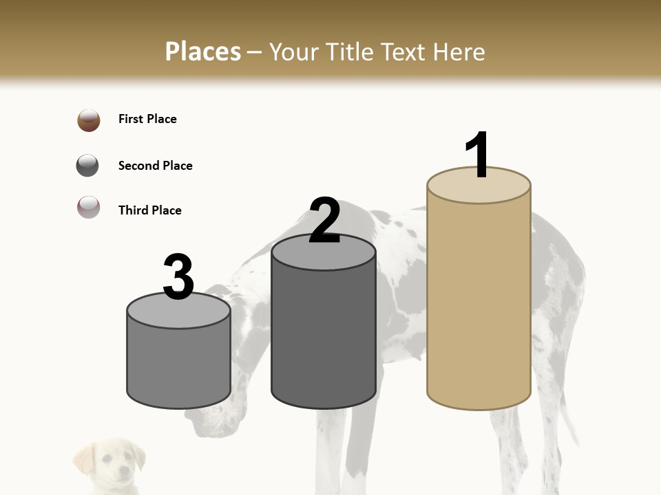 Large Domestic Mammal PowerPoint Template