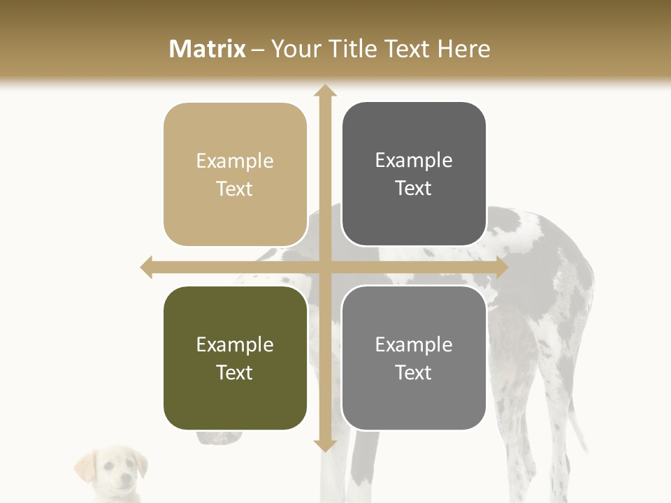 Large Domestic Mammal PowerPoint Template