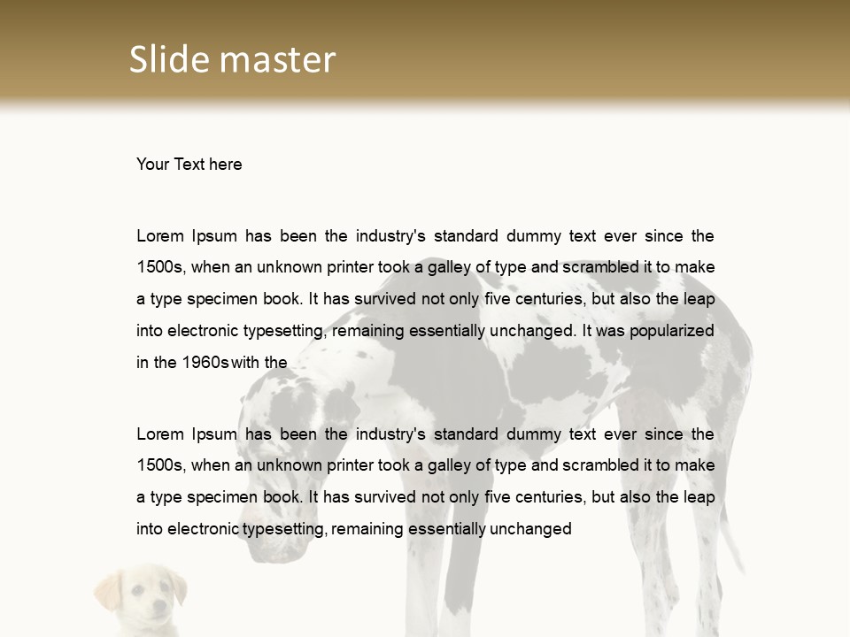 Large Domestic Mammal PowerPoint Template