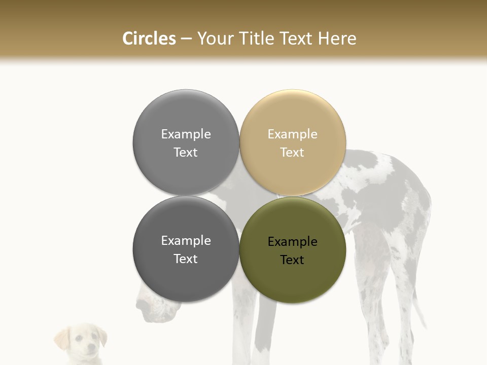 Large Domestic Mammal PowerPoint Template