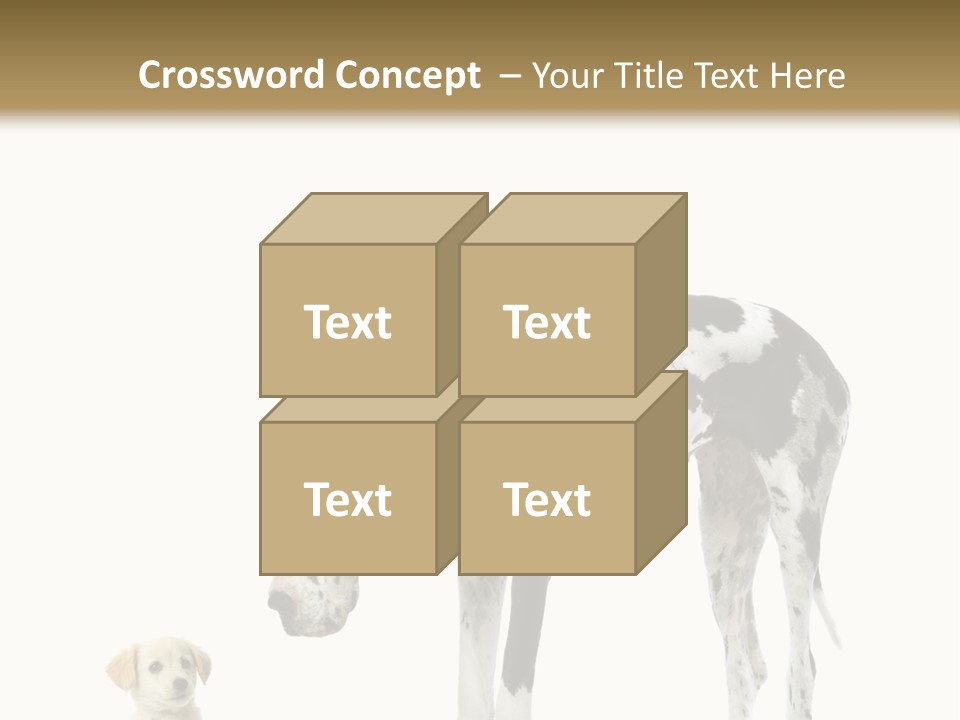 Large Domestic Mammal PowerPoint Template