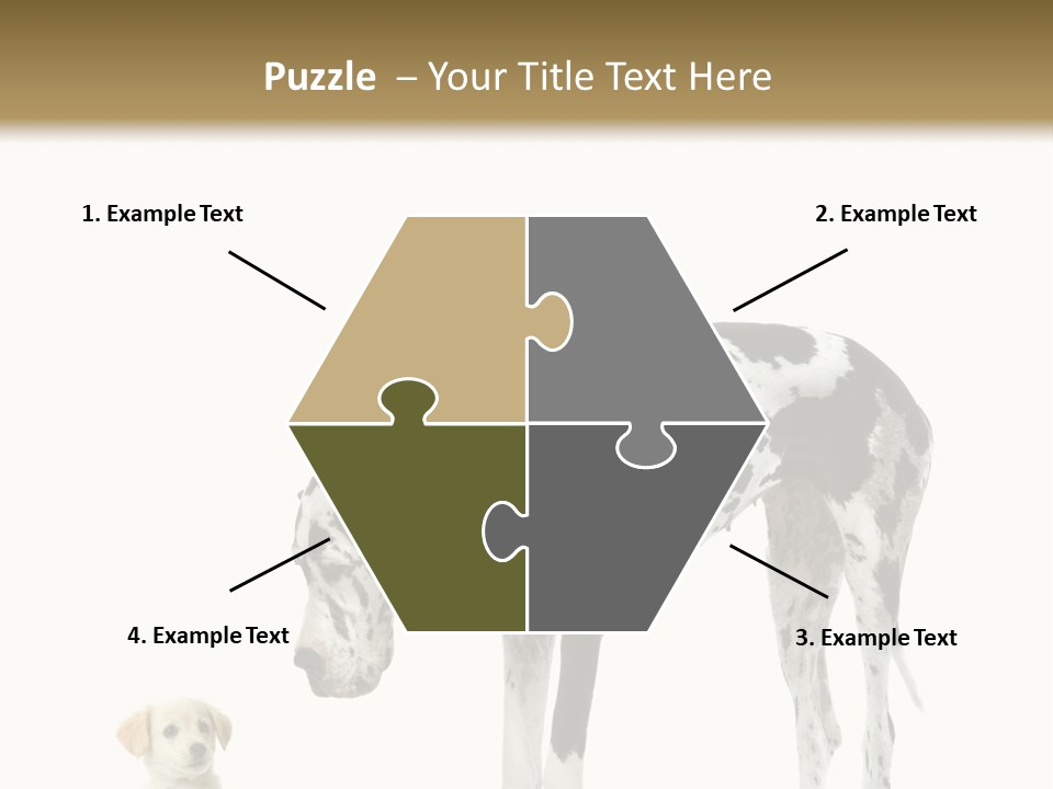 Large Domestic Mammal PowerPoint Template