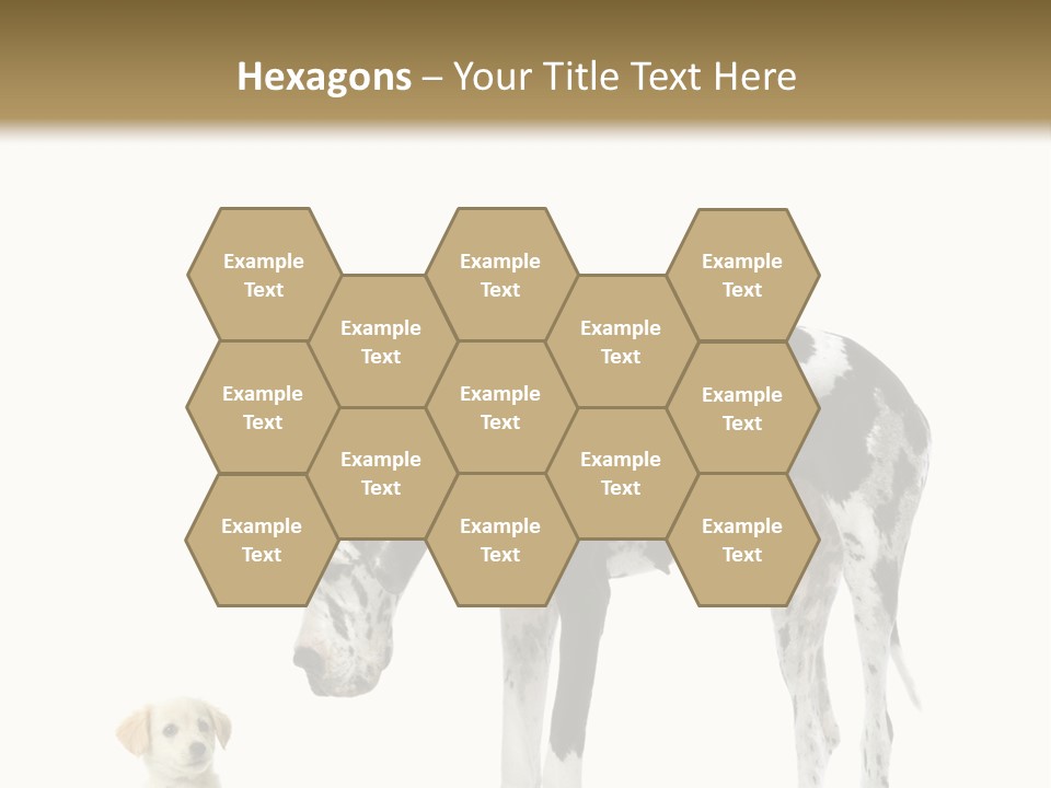 Large Domestic Mammal PowerPoint Template