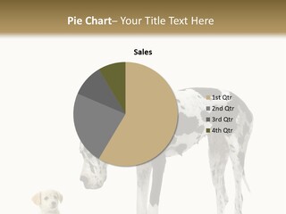 Large Domestic Mammal PowerPoint Template