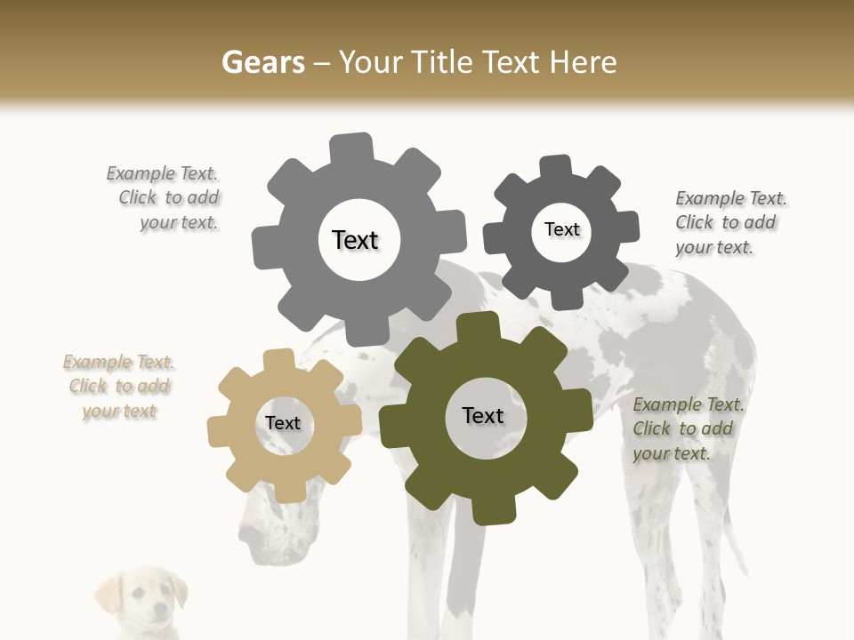Large Domestic Mammal PowerPoint Template