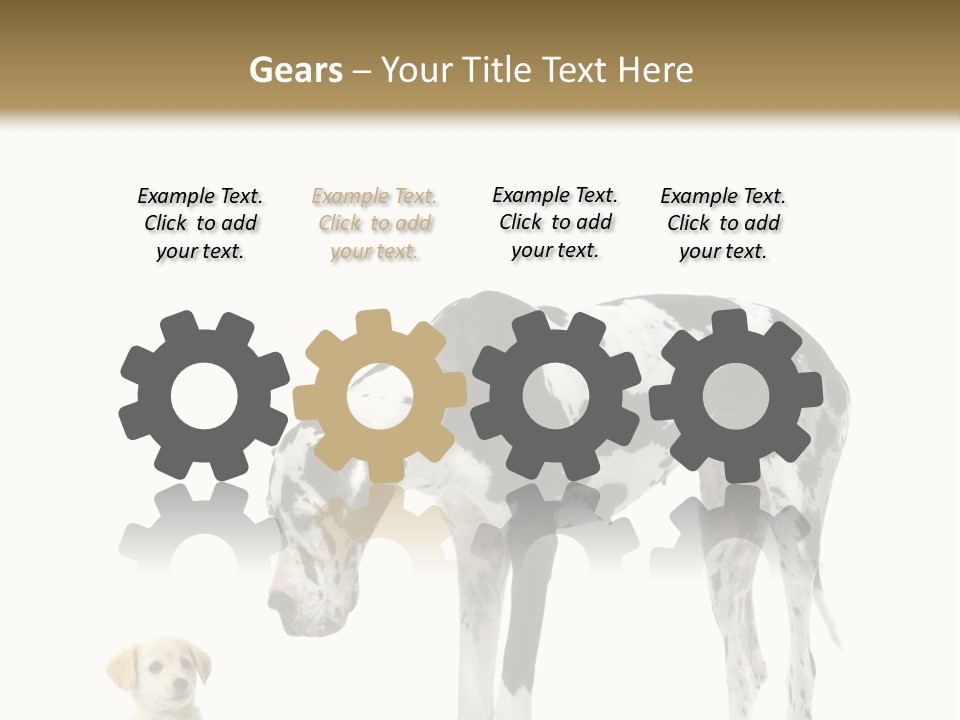 Large Domestic Mammal PowerPoint Template