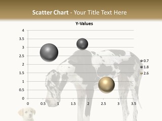 Large Domestic Mammal PowerPoint Template