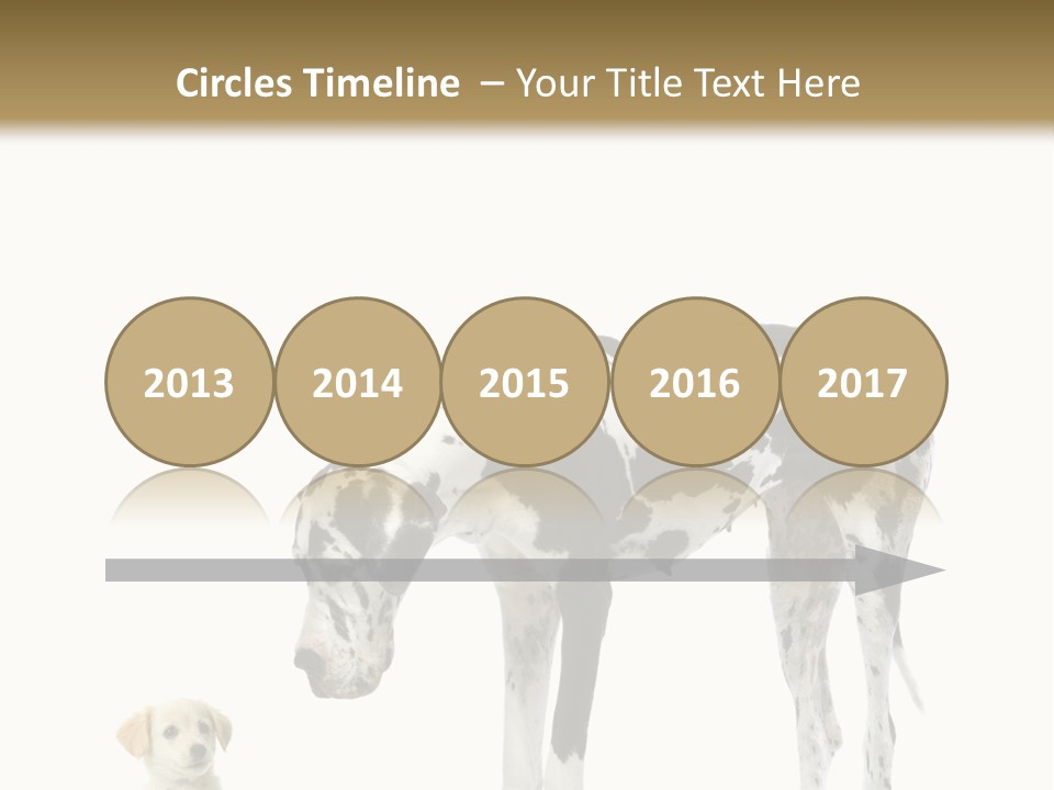 Large Domestic Mammal PowerPoint Template