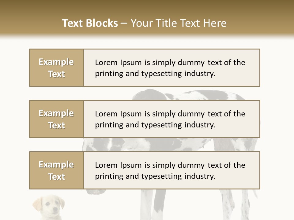 Large Domestic Mammal PowerPoint Template