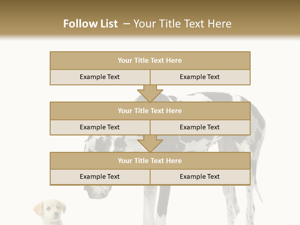 Large Domestic Mammal PowerPoint Template