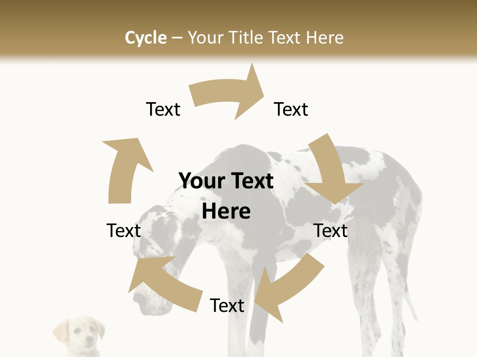 Large Domestic Mammal PowerPoint Template