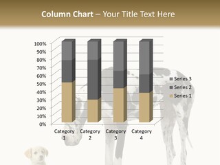 Large Domestic Mammal PowerPoint Template