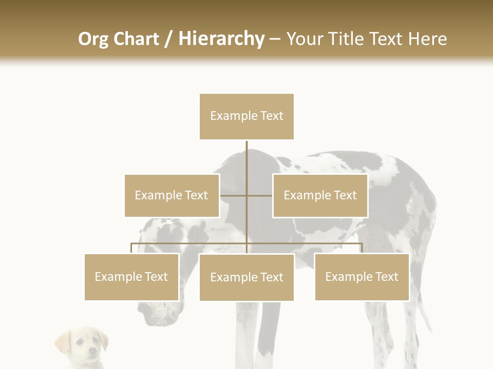 Large Domestic Mammal PowerPoint Template