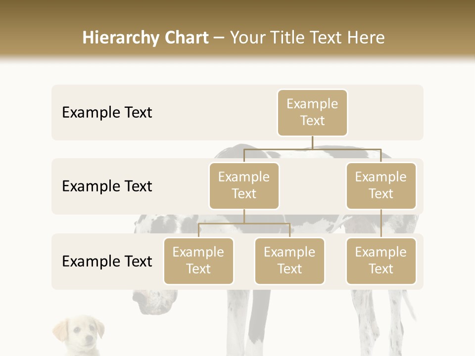 Large Domestic Mammal PowerPoint Template