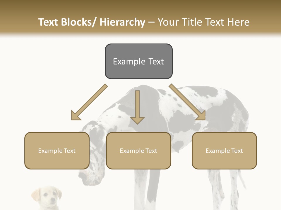 Large Domestic Mammal PowerPoint Template