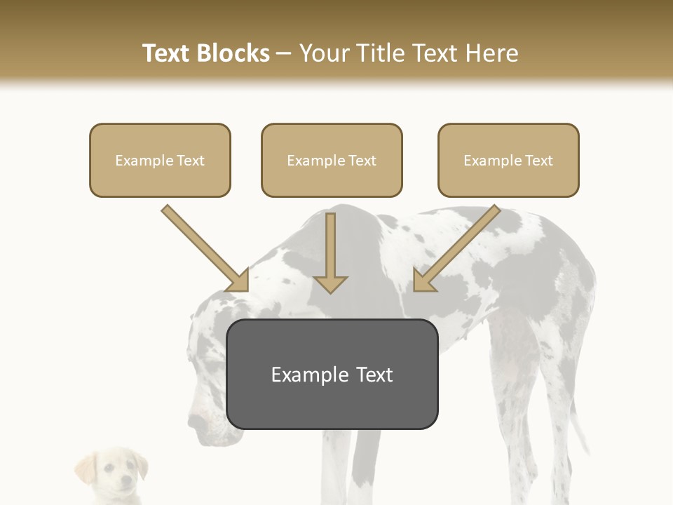 Large Domestic Mammal PowerPoint Template
