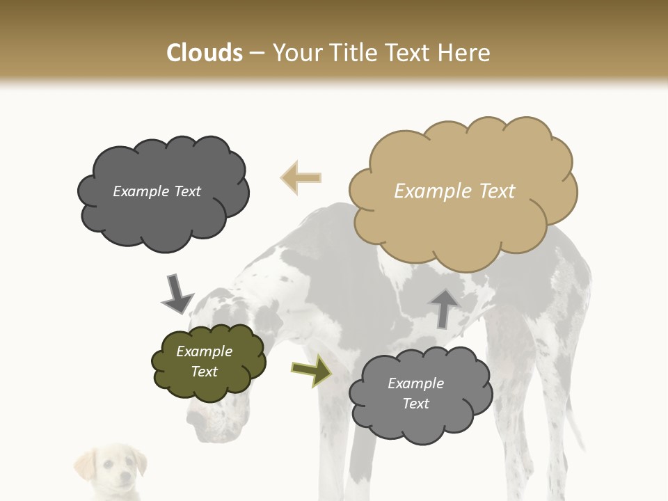 Large Domestic Mammal PowerPoint Template
