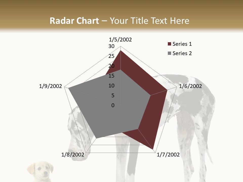 Large Domestic Mammal PowerPoint Template