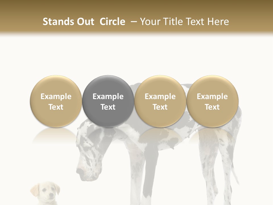Large Domestic Mammal PowerPoint Template
