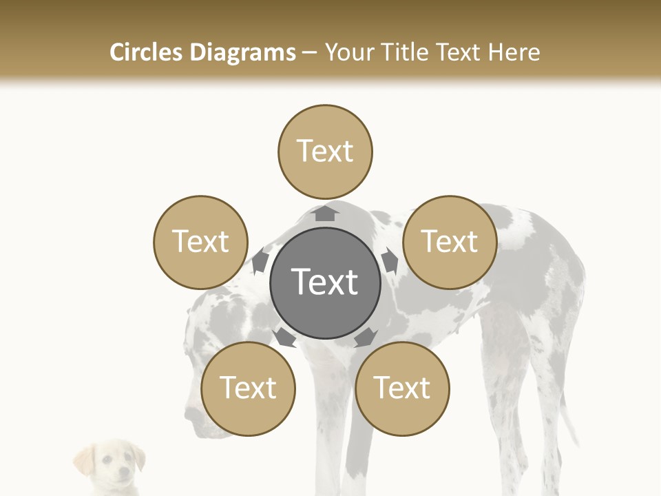 Large Domestic Mammal PowerPoint Template