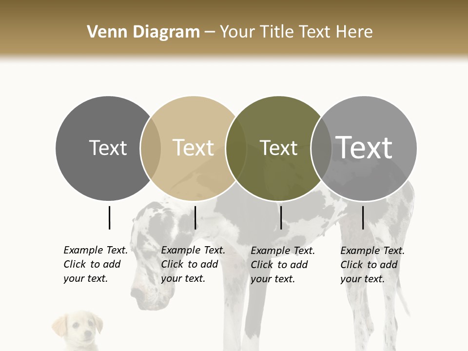 Large Domestic Mammal PowerPoint Template