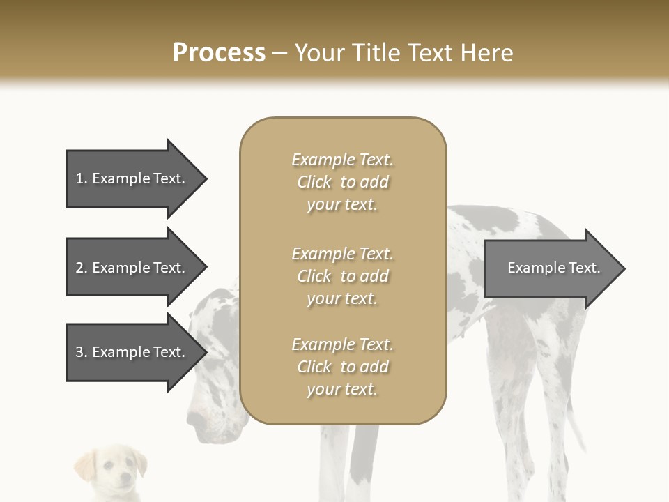 Large Domestic Mammal PowerPoint Template