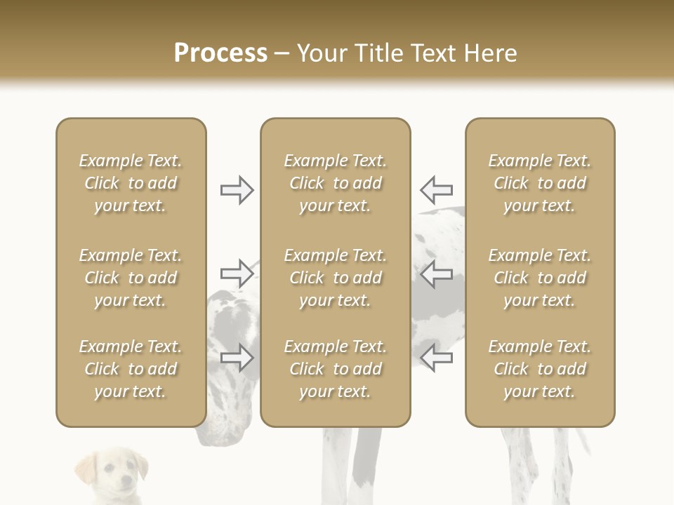 Large Domestic Mammal PowerPoint Template