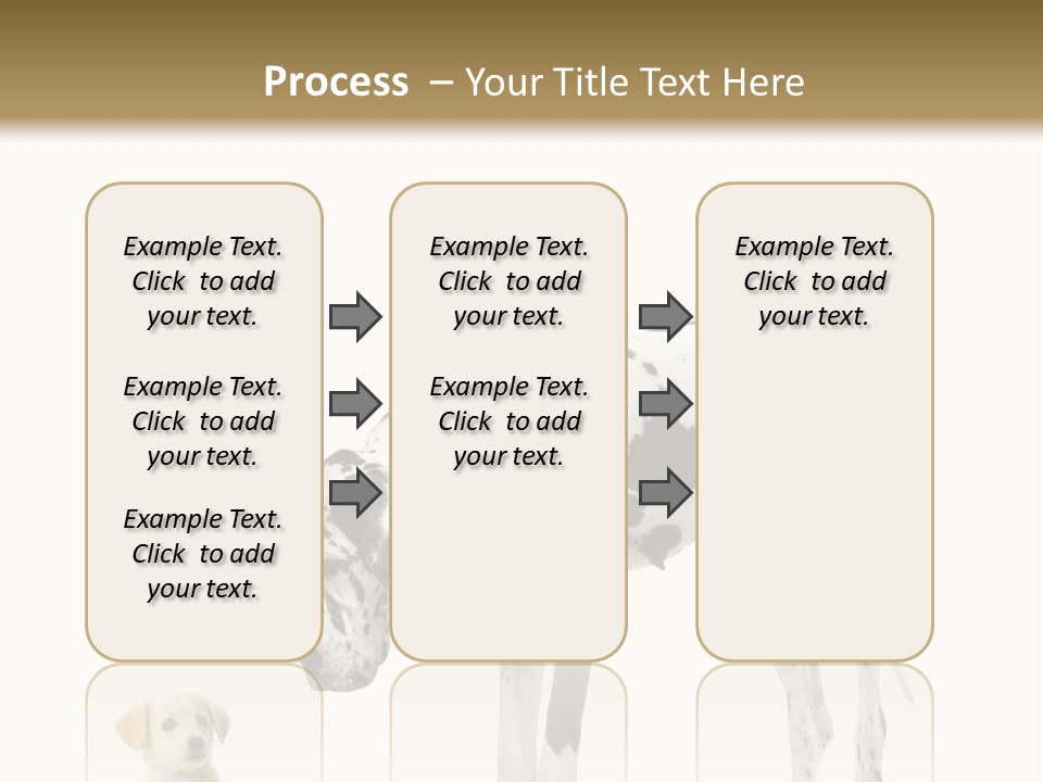 Large Domestic Mammal PowerPoint Template