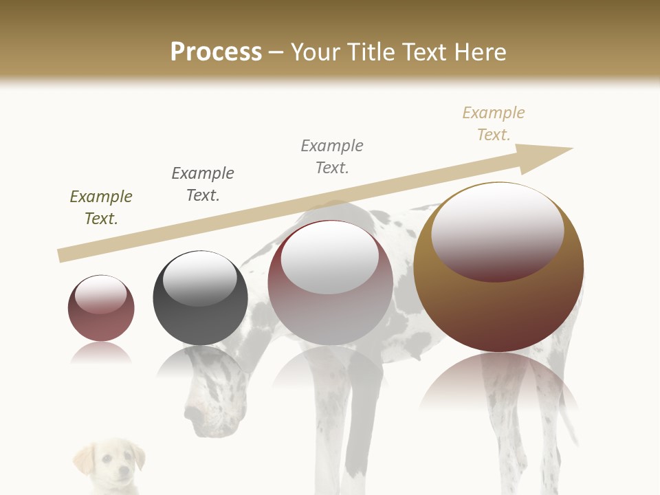 Large Domestic Mammal PowerPoint Template