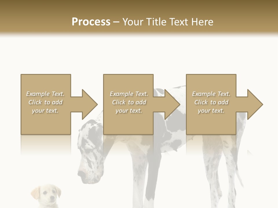Large Domestic Mammal PowerPoint Template