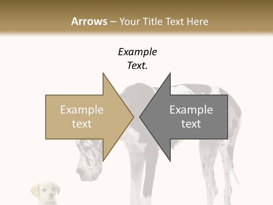 Large Domestic Mammal PowerPoint Template