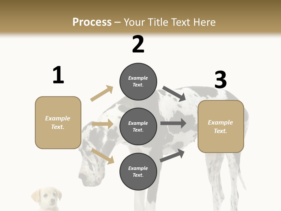 Large Domestic Mammal PowerPoint Template