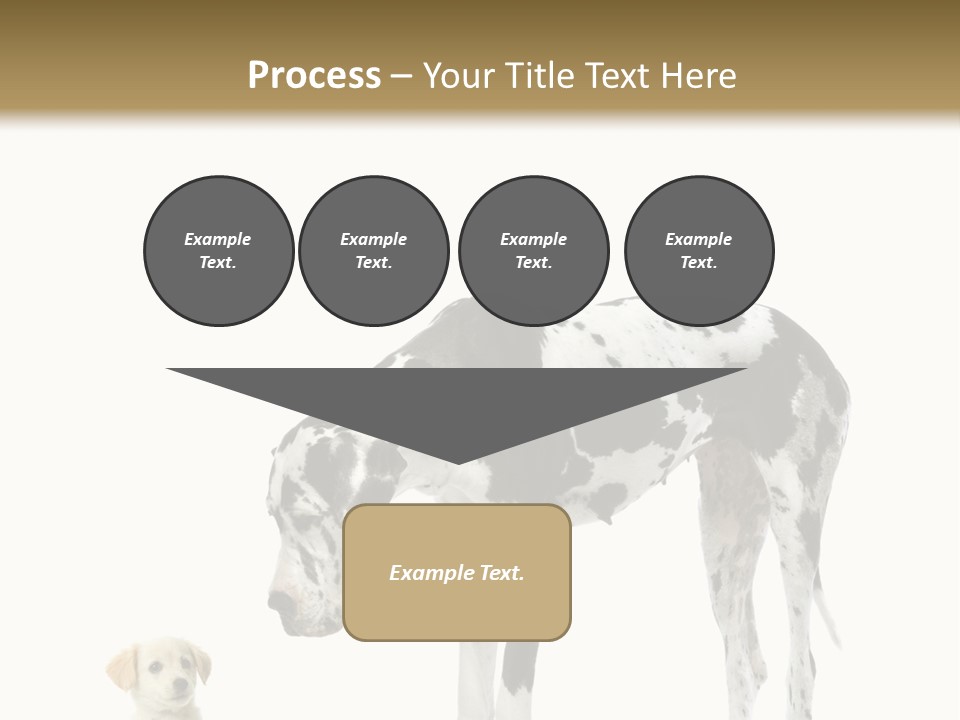 Large Domestic Mammal PowerPoint Template