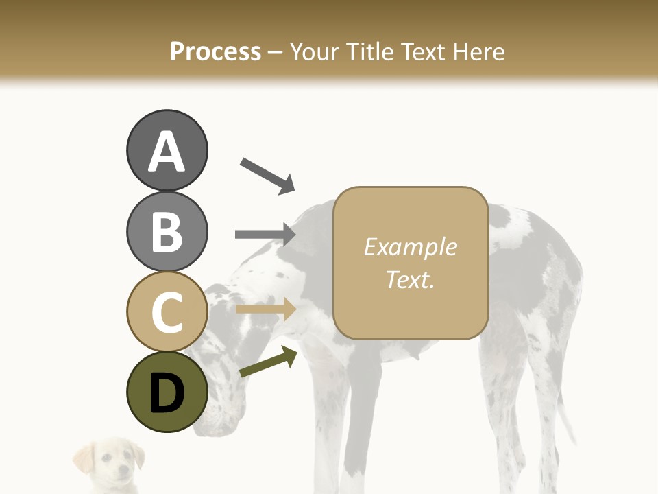 Large Domestic Mammal PowerPoint Template