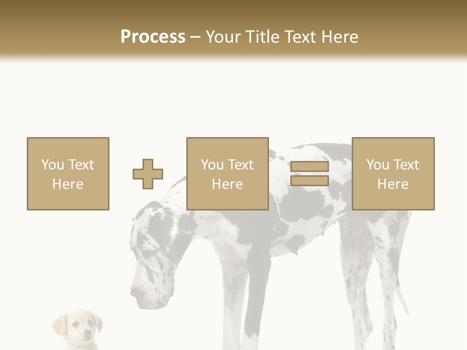Large Domestic Mammal PowerPoint Template