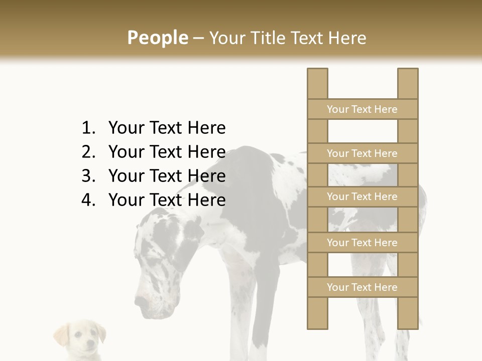 Large Domestic Mammal PowerPoint Template